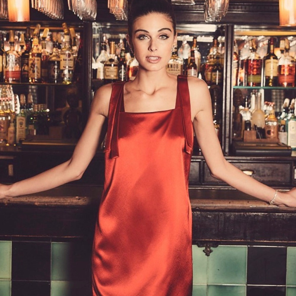 NWT Ines bow tie dress